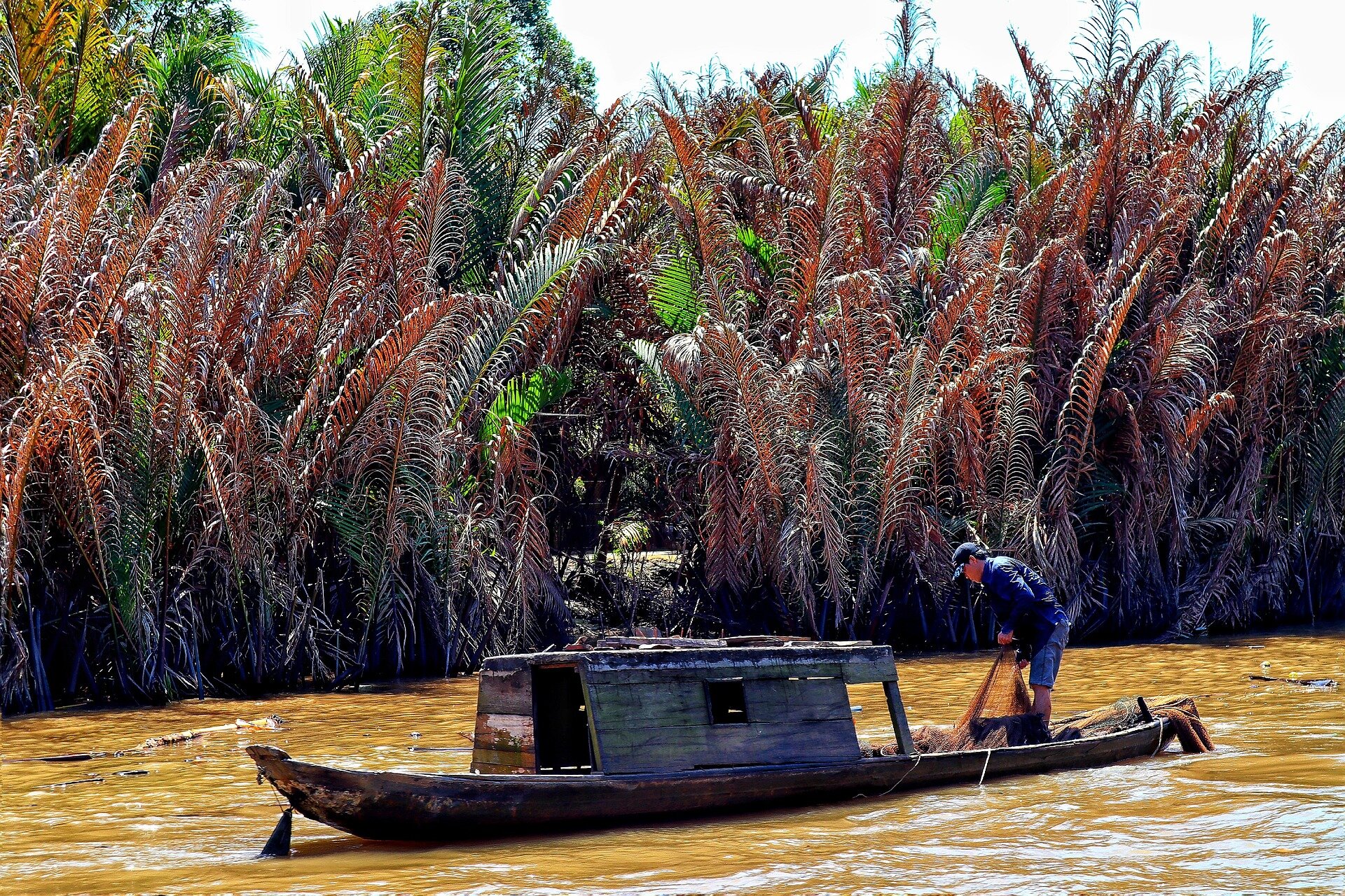 Begin your visa-prepared day with Vietnam’s tranquil ambiance